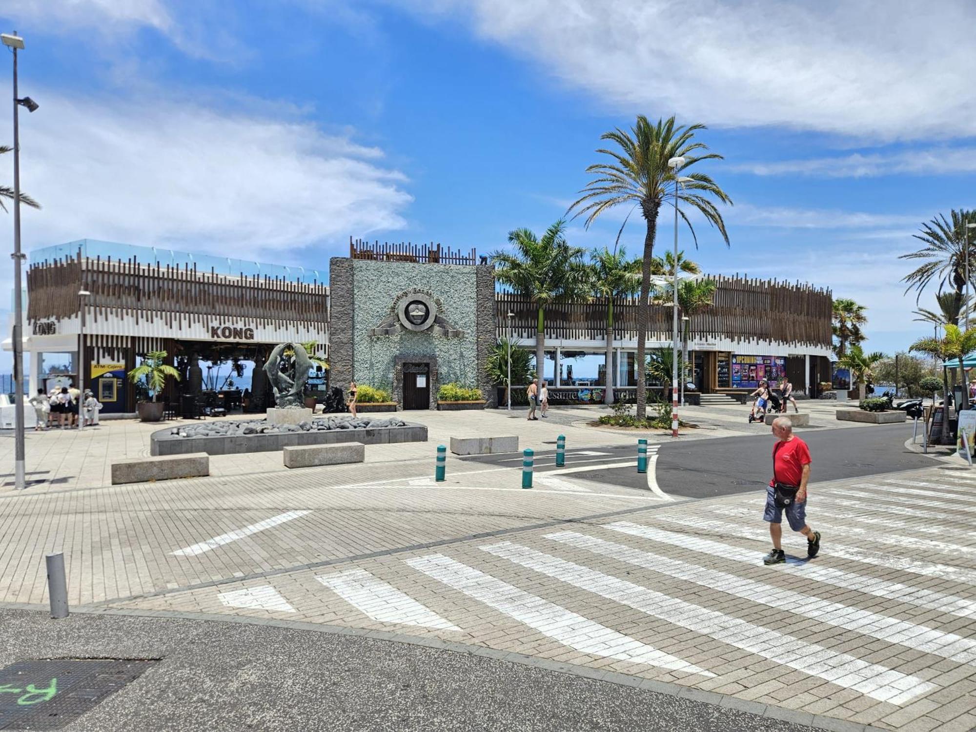 Apto Vera Cruz Playa Las Americas Playa de las Americas  Zewnętrze zdjęcie